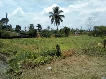 Terreno General en venta o alquiler en La Fortuna, Sonafluca, San Carlos, Alajuela, Costa Rica — foto 4