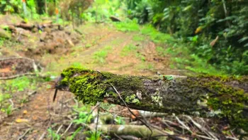 Terreno Para Vivienda en venta en Uvita, Osa, Puntarenas, Costa Rica — foto 2