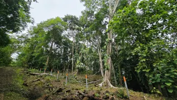 Terreno Para Vivienda en venta en Uvita, Osa, Puntarenas, Costa Rica — foto 5