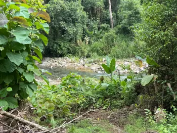 Terreno Para Vivienda en venta en Uvita, Osa, Puntarenas, Costa Rica — foto 6