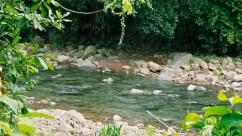 Terreno Para Vivienda en venta en Uvita, Osa, Puntarenas, Costa Rica — foto 7