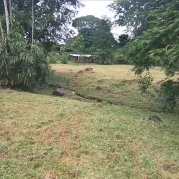 Development Land for sale in Río Danta- Guápiles, Pococí, Limón, Costa Rica — photo 5