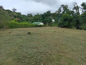Development Land for sale in Río Danta- Guápiles, Pococí, Limón, Costa Rica — photo 6