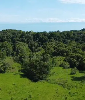 Santuario Vivo en Bahía Drake: 17 Hectáreas Bosque Primario Con Acceso al Mar
