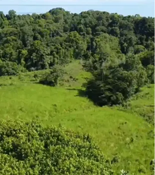 Raw Land for sale in Bahia Drake, Osa, Puntarenas, Costa Rica — photo 2