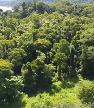Raw Land for sale in Bahia Drake, Osa, Puntarenas, Costa Rica — photo 3