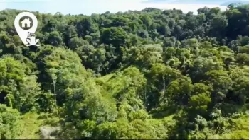 Raw Land for sale in Bahia Drake, Osa, Puntarenas, Costa Rica — photo 5