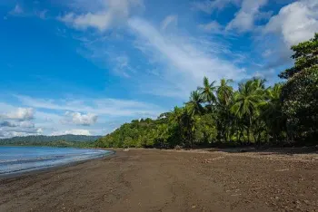 Raw Land for sale in Bahia Drake, Osa, Puntarenas, Costa Rica — photo 6
