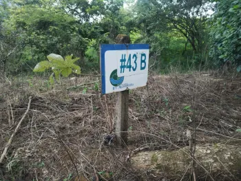 Terreno General en venta en San Pedro, Turrubares, San José, Costa Rica — foto 7
