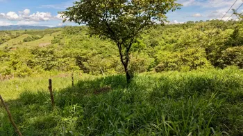 Raw Land for sale in Tres Rios De Buenos Aires, Buenos Aires, Puntarenas, Costa Rica — photo 2