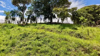 Raw Land for sale in Tres Rios De Buenos Aires, Buenos Aires, Puntarenas, Costa Rica — photo 3