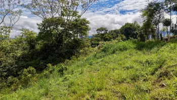 Raw Land for sale in Tres Rios De Buenos Aires, Buenos Aires, Puntarenas, Costa Rica — photo 4