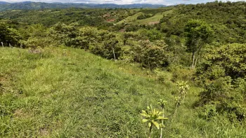 Raw Land for sale in Tres Rios, Buenos Aires, Puntarenas, Costa Rica — photo 3