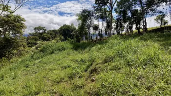 Raw Land for sale in Tres Rios, Buenos Aires, Puntarenas, Costa Rica — photo 4