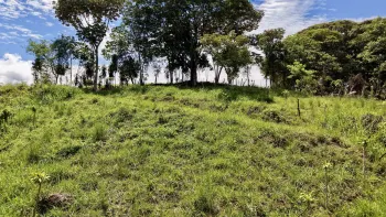 Raw Land for sale in Tres Rios, Buenos Aires, Puntarenas, Costa Rica — photo 6