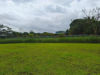 🌿 Terreno de 5.000 m² en Guápiles – Ubicación Estratégica y Gran Potencial