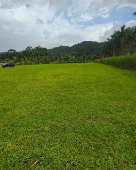 Development Land for sale in Guápiles, Pococí, Limón, Costa Rica — photo 4