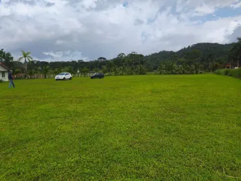 Development Land for sale in Guápiles, Pococí, Limón, Costa Rica — photo 5