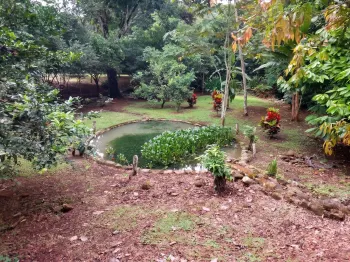 Residential Lot for sale in Daniel Flores, Pérez Zeledón, San José, Costa Rica — photo 2