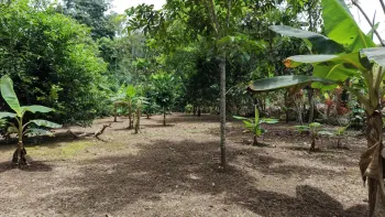 Residential Lot for sale in Daniel Flores, Pérez Zeledón, San José, Costa Rica — photo 3