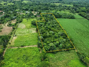 Land For Sale With Native Jungle And Direct Access in Buenos Aires - TCR2519