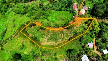 7,392 m² Plot of Land For Sale With Panoramic Views in Platanares, Pérez Zeledón