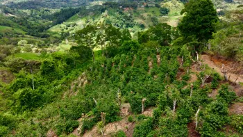 Raw Land for sale in Mollejoenes, Platanares, Pérez Zeledón, San José, Costa Rica — photo 2