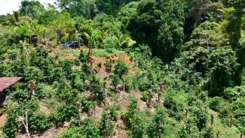 Raw Land for sale in Mollejoenes, Platanares, Pérez Zeledón, San José, Costa Rica — photo 4