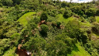 Raw Land for sale in Mollejoenes, Platanares, Pérez Zeledón, San José, Costa Rica — photo 5