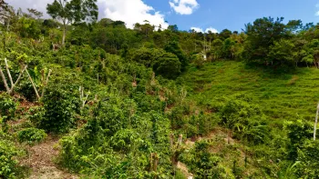 Raw Land for sale in Mollejoenes, Platanares, Pérez Zeledón, San José, Costa Rica — photo 7