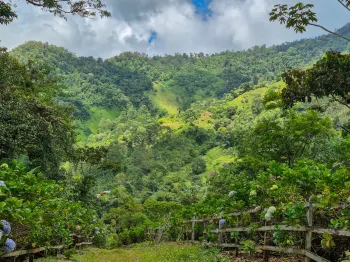Mixed Use Land for sale in Cajón, Pérez Zeledón, San José, Costa Rica — photo 3