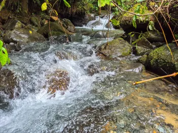 Mixed Use Land for sale in Cajón, Pérez Zeledón, San José, Costa Rica — photo 4