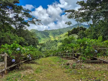 Mixed Use Land for sale in Cajón, Pérez Zeledón, San José, Costa Rica — photo 6