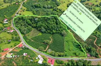 Coffee Farm in San Gabriel de la Amistada, Pérez Zeledón