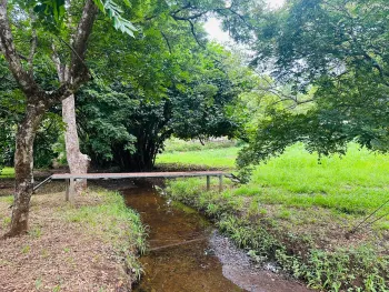 Dos Lotes de 2000 m² Cada Uno (4000 m² en Total) en Una Residencia Privada
