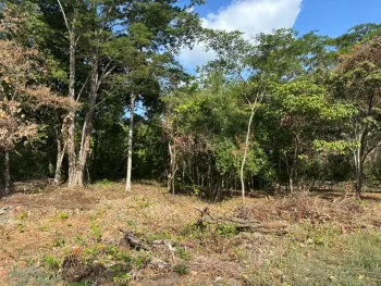 Terreno Para Vivienda en venta en Playa Grande, Santa Cruz, Guanacaste, Costa Rica — foto 2