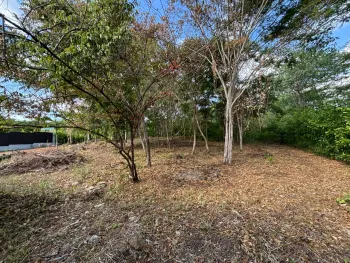 Terreno Para Vivienda en venta en Playa Grande, Santa Cruz, Guanacaste, Costa Rica — foto 4