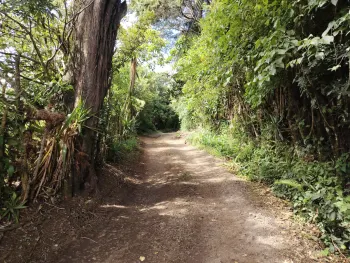 Residential Lot for sale in Concepción, Heredia, Costa Rica — photo 17